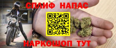 стафф Лесосибирск