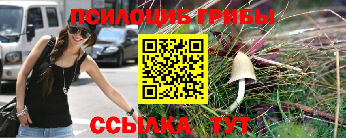 Псилоцибиновые грибы Psilocybine cubensis Кимовск