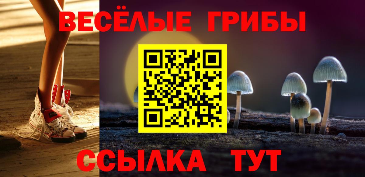 где найти наркотики  Псилоцибиновые грибы Psilocybine cubensis  Вход с VPN  Псилоцибиновые грибы Magic Shrooms  Кимовск 