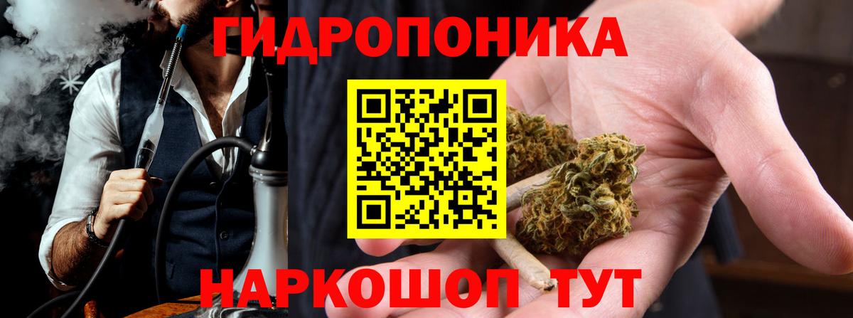 Бошки марихуана индика  Вход с VPN  Бошки марихуана SATIVA & INDICA  Каннабис Bruce Banner  Кимовск 